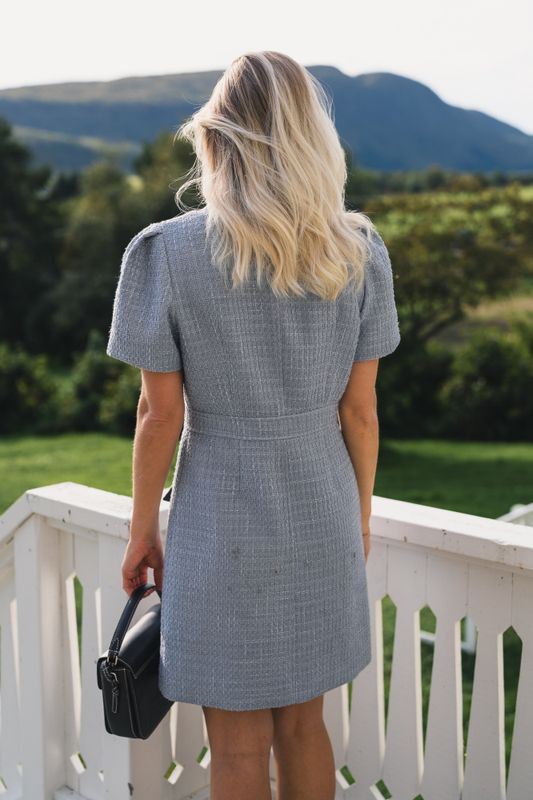 Stassie Mini Dress Blue 