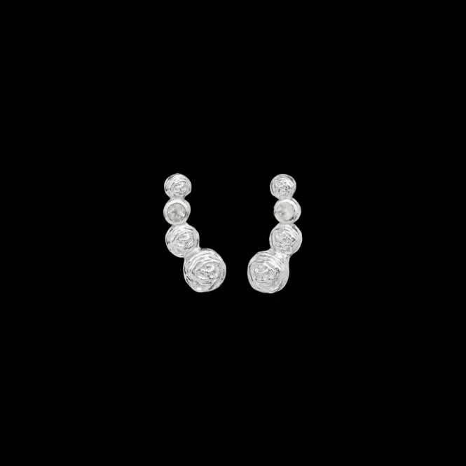 Hovedbilde Diantha Earrings Silver 