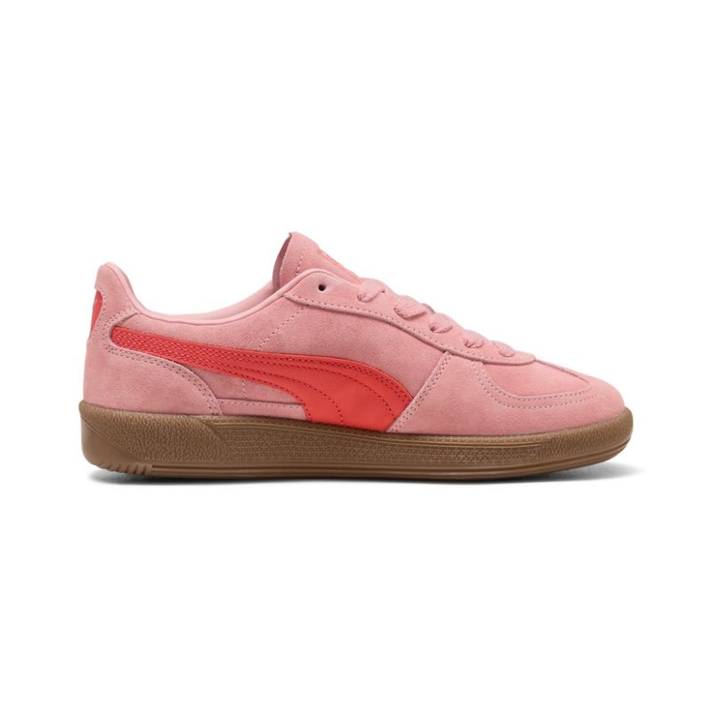 Palermo Rosy Outlook Gum 
