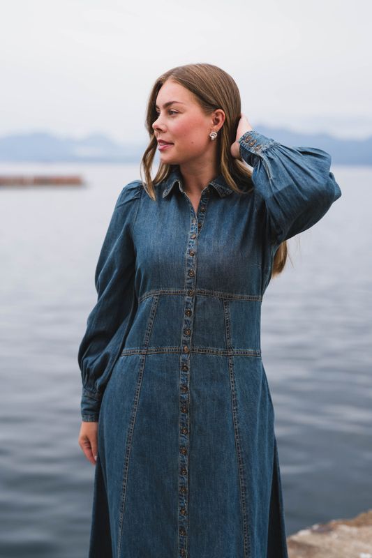 Denim Button-Down Dress French Blue 
