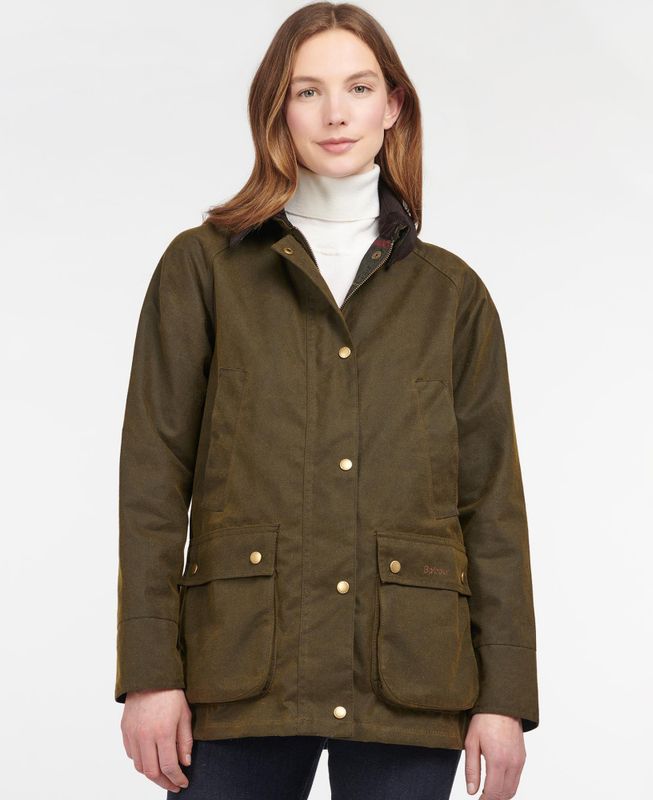 Acorn Wax Olive 