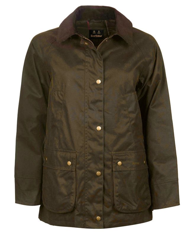Acorn Wax Olive 