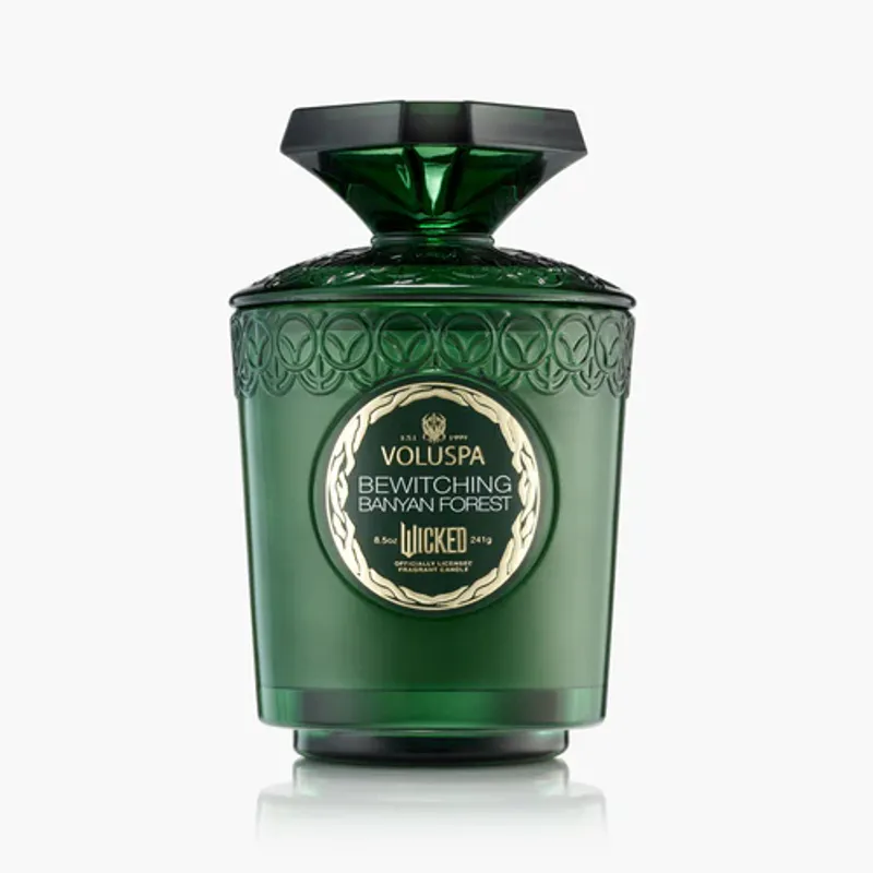 Boxed Candle Bewitching Banyan Forest