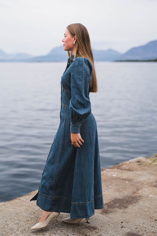 Denim Button-Down Dress French Blue 