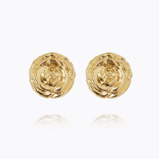 Hovedbilde Rosita Earrings Gold 