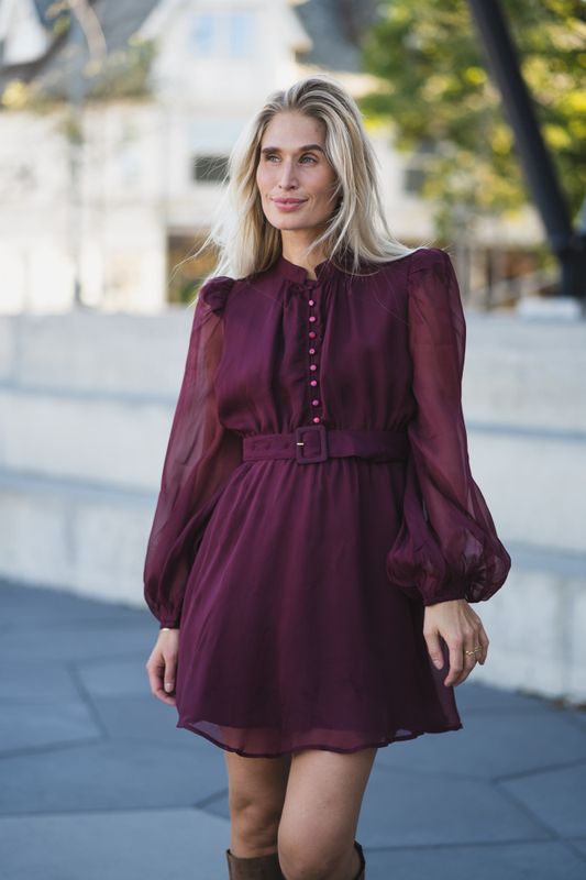 Organza Mini Dress Burgundy