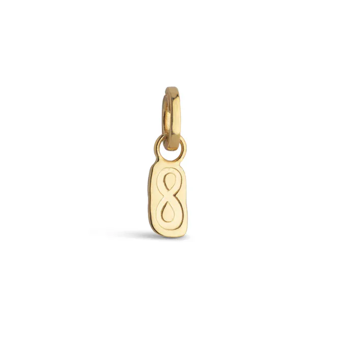 Hovedbilde Endless Infinity Charm Gold 