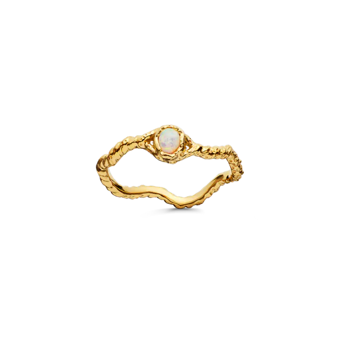 Hovedbilde Lisa Ring 