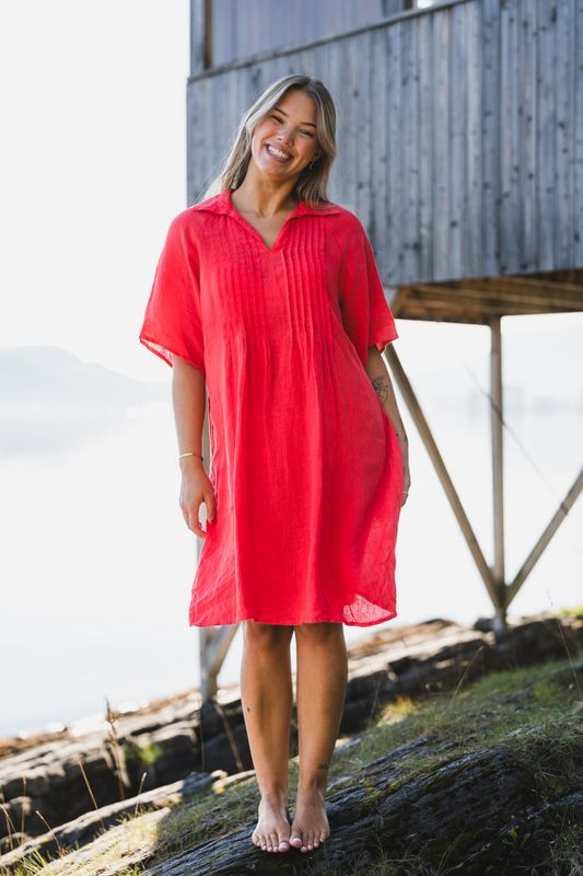 Ayla Dress Poppy Red 