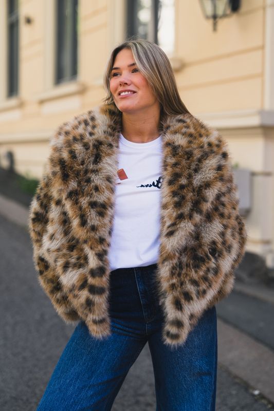 Lestine Camel 