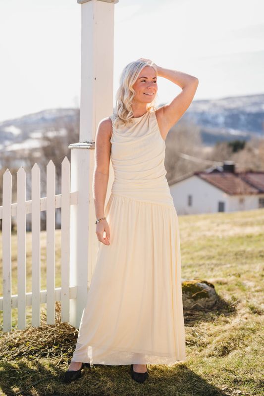 Cludine Mesh Dress Light Yellow 