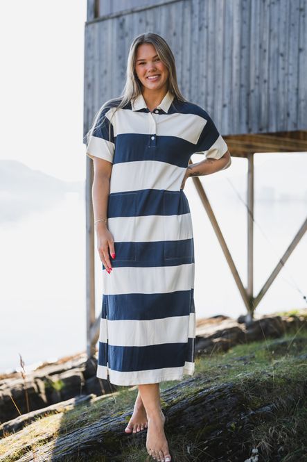 Hovedbilde Alise Dress After Midnight Stripe 