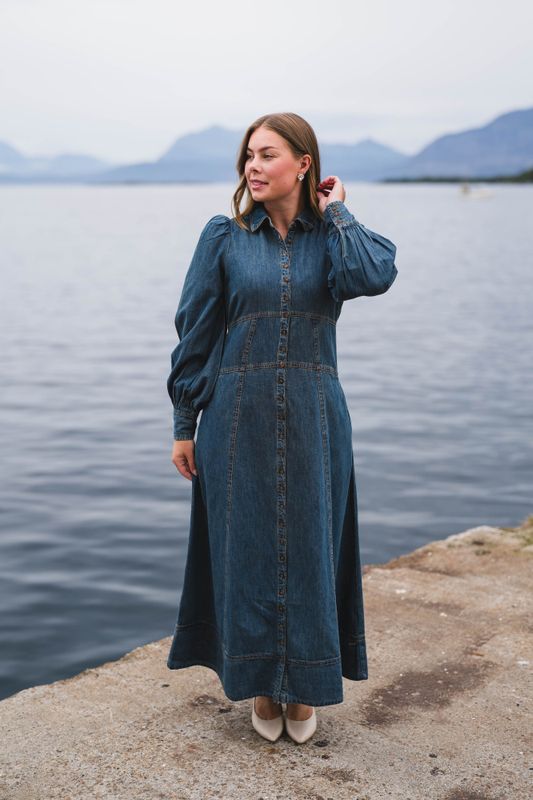 Denim Button-Down Dress French Blue 