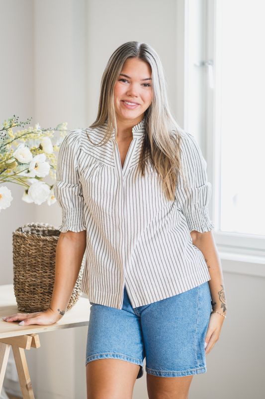 Diana Crepe Stripe Blouse Brown 