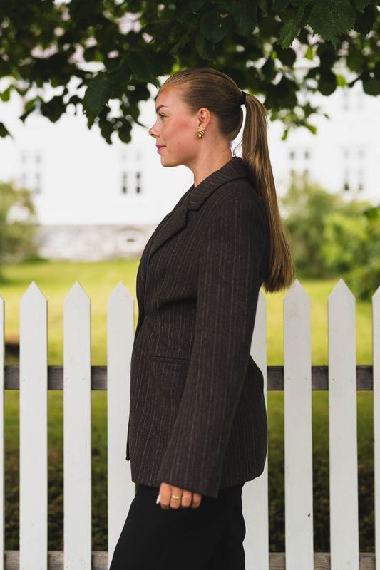 Bowie Stripe Blazer Brown 