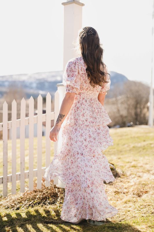 Sable Meadow Printed Dress Creme 