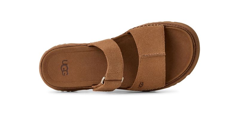 W Goldengaze Slide Chestnut 