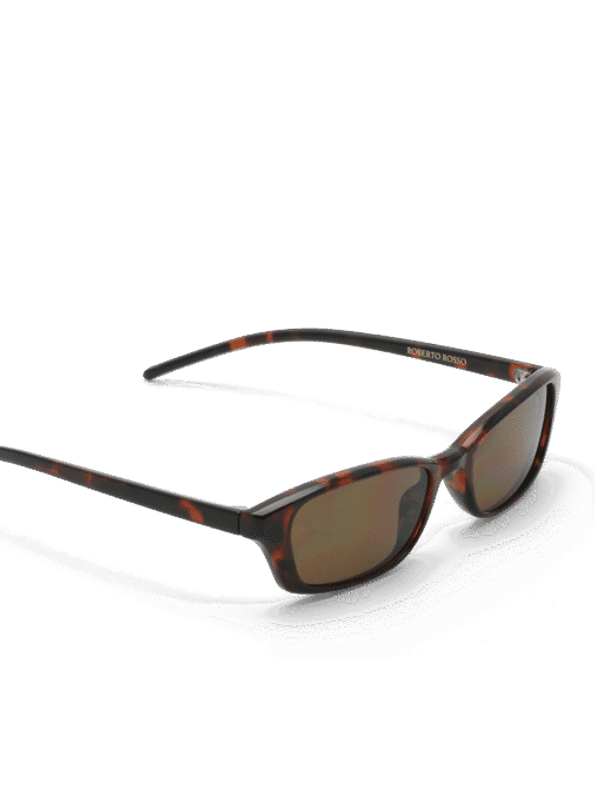 Chiara Tortoise 