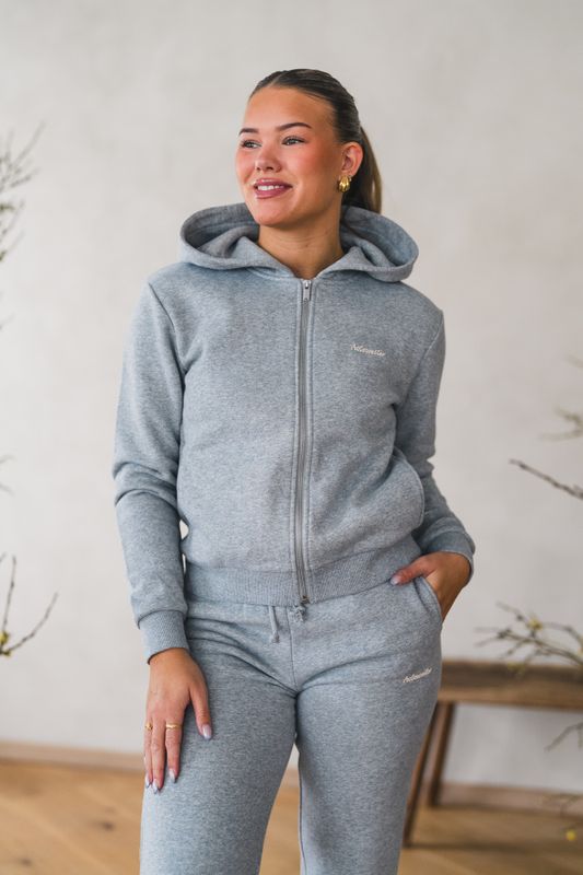 W Regular Zip Hoodie Grey Mix 