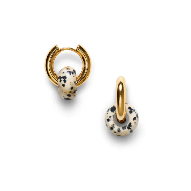 Glazed Donut Hoops Dalmatian 