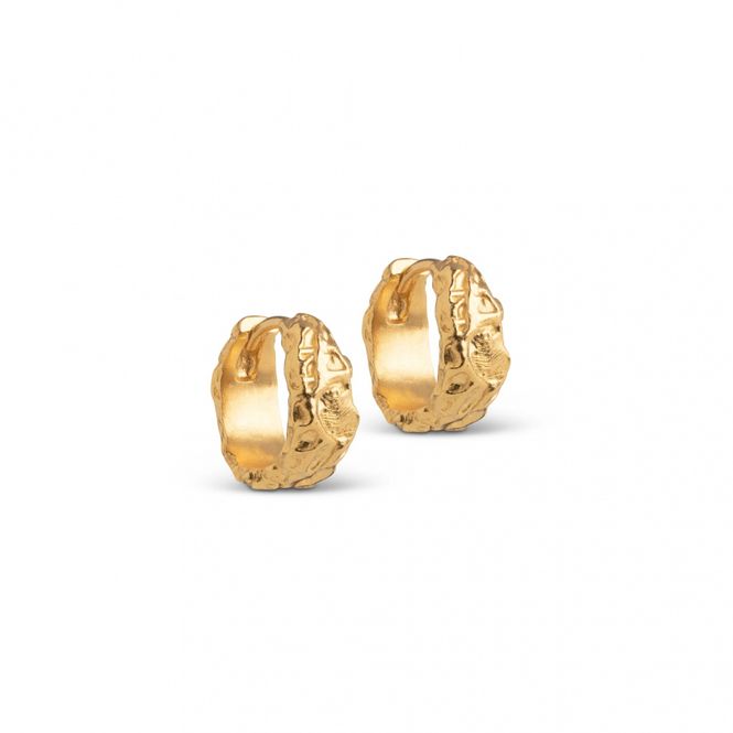 Hovedbilde Nela Hoops Gold 