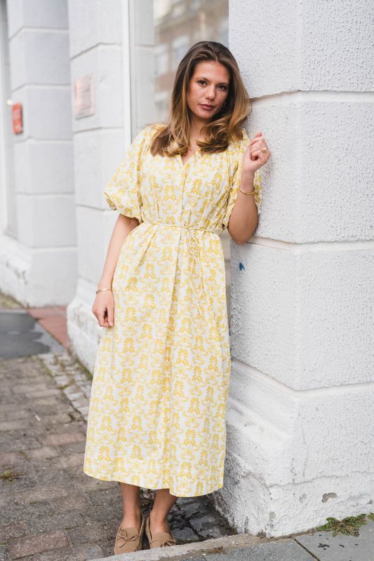 Colea 2/4 Long Dress Pristine Colea Print 