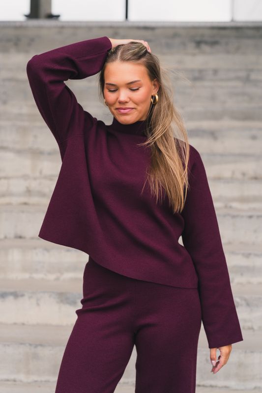 Serge Sweater Burgundy 